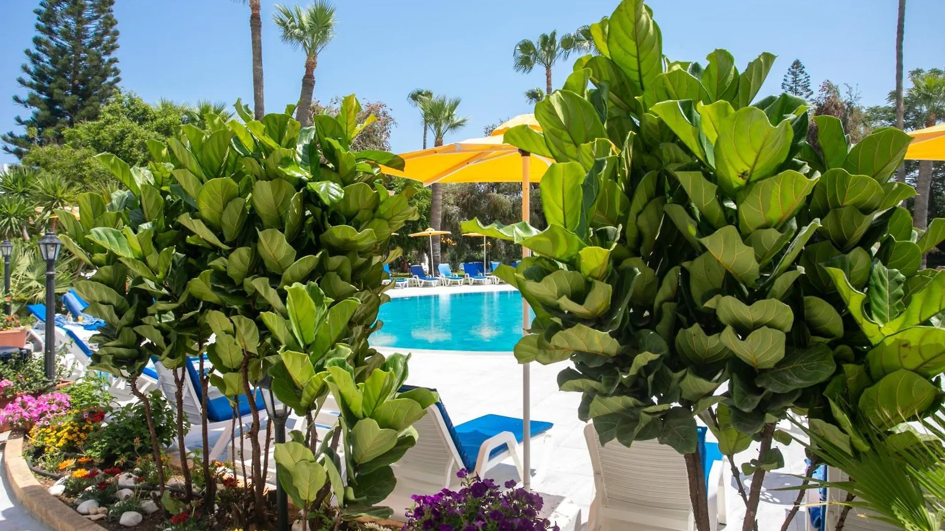 Papouis Protaras Hotel